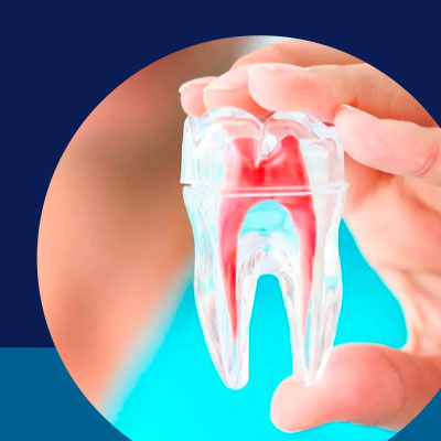 Endodontia